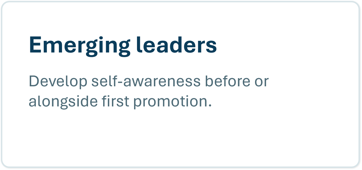Emerging leaders