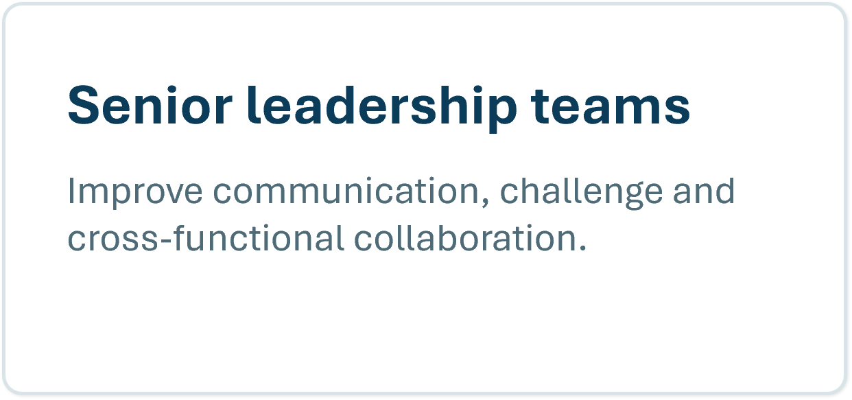 Senior leadership teams